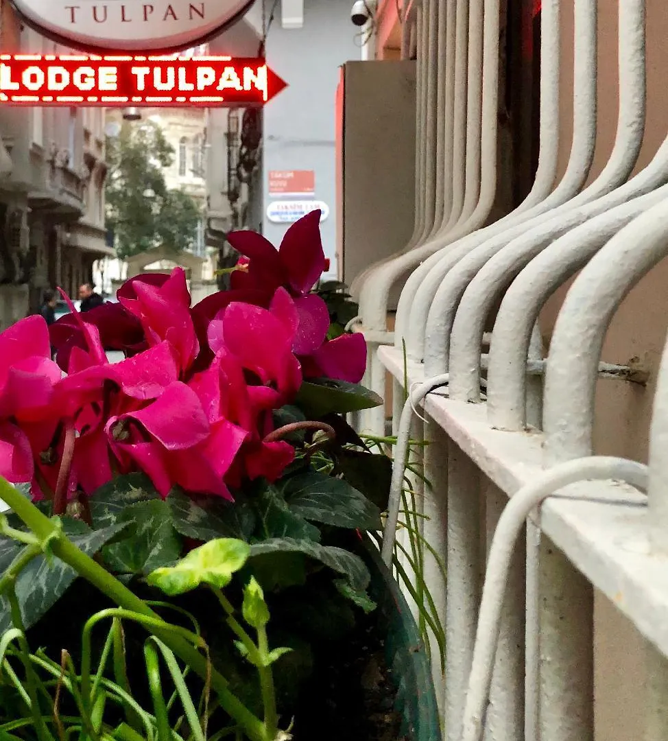 Hotel The House Of Tulpan Istanbulská provincie Turecko