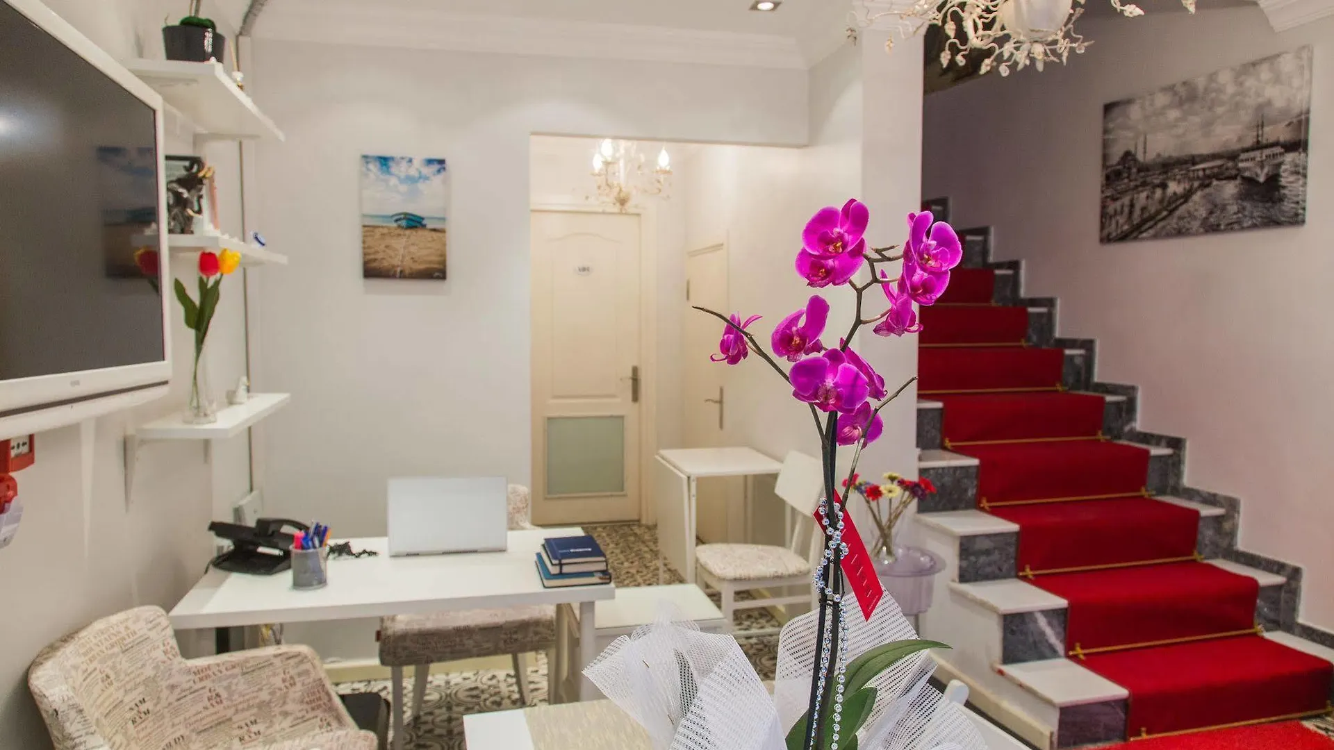 Hotel The House Of Tulpan Istanbulská provincie 2*,  Turecko